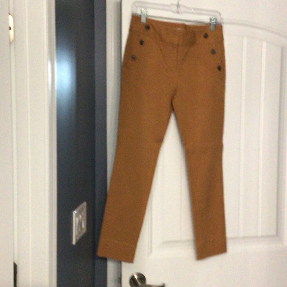 Ladies ankle length pants